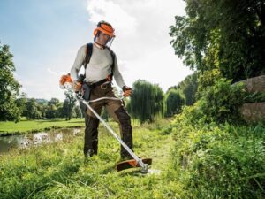 Best Lawn Care Tips to Keep Your Lawn Healthy and Green