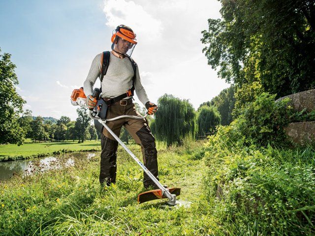 Best Lawn Care Tips to Keep Your Lawn Healthy and Green