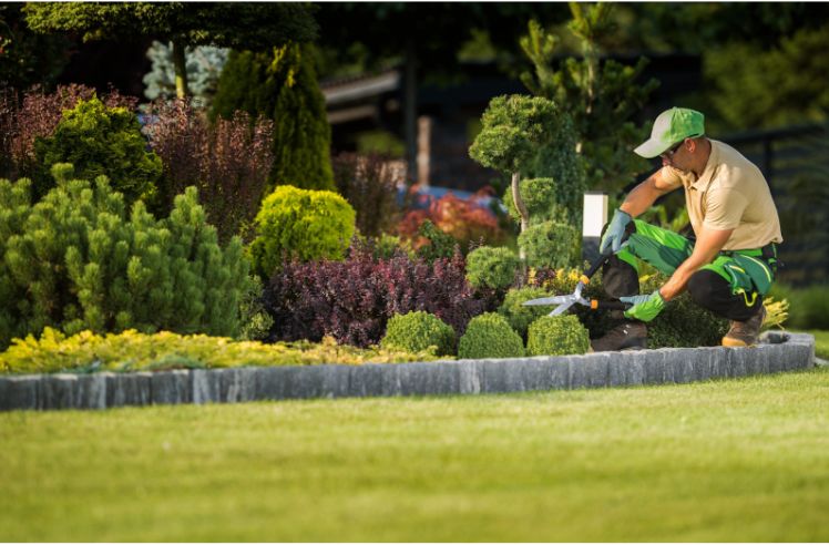 Best Landscaping Services Near Me for Residential Homes